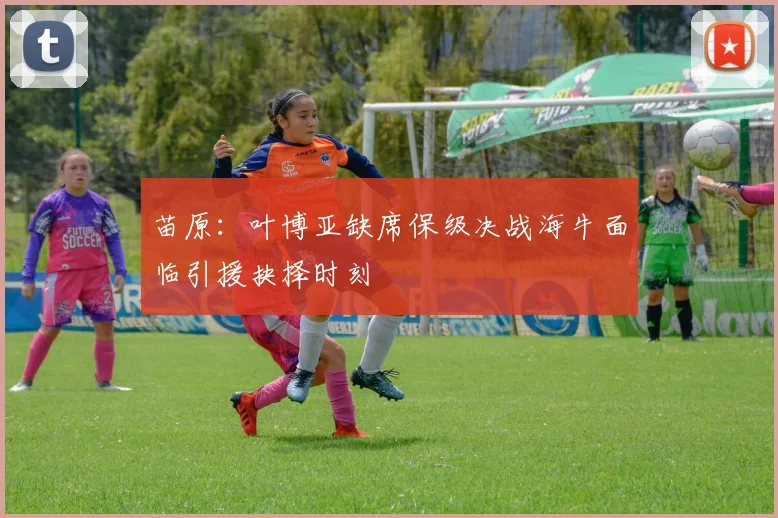 苗原：叶博亚缺席保级决战海牛面临引援抉择时刻